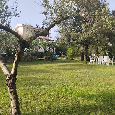 Appartamento In Villa Bruno Olbia Ngoại thất bức ảnh