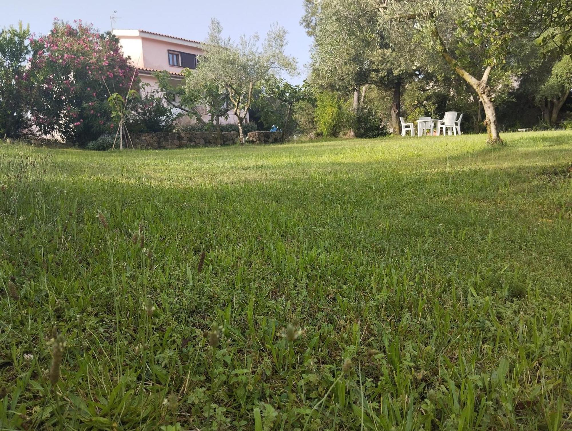 Appartamento In Villa Bruno Olbia Ngoại thất bức ảnh